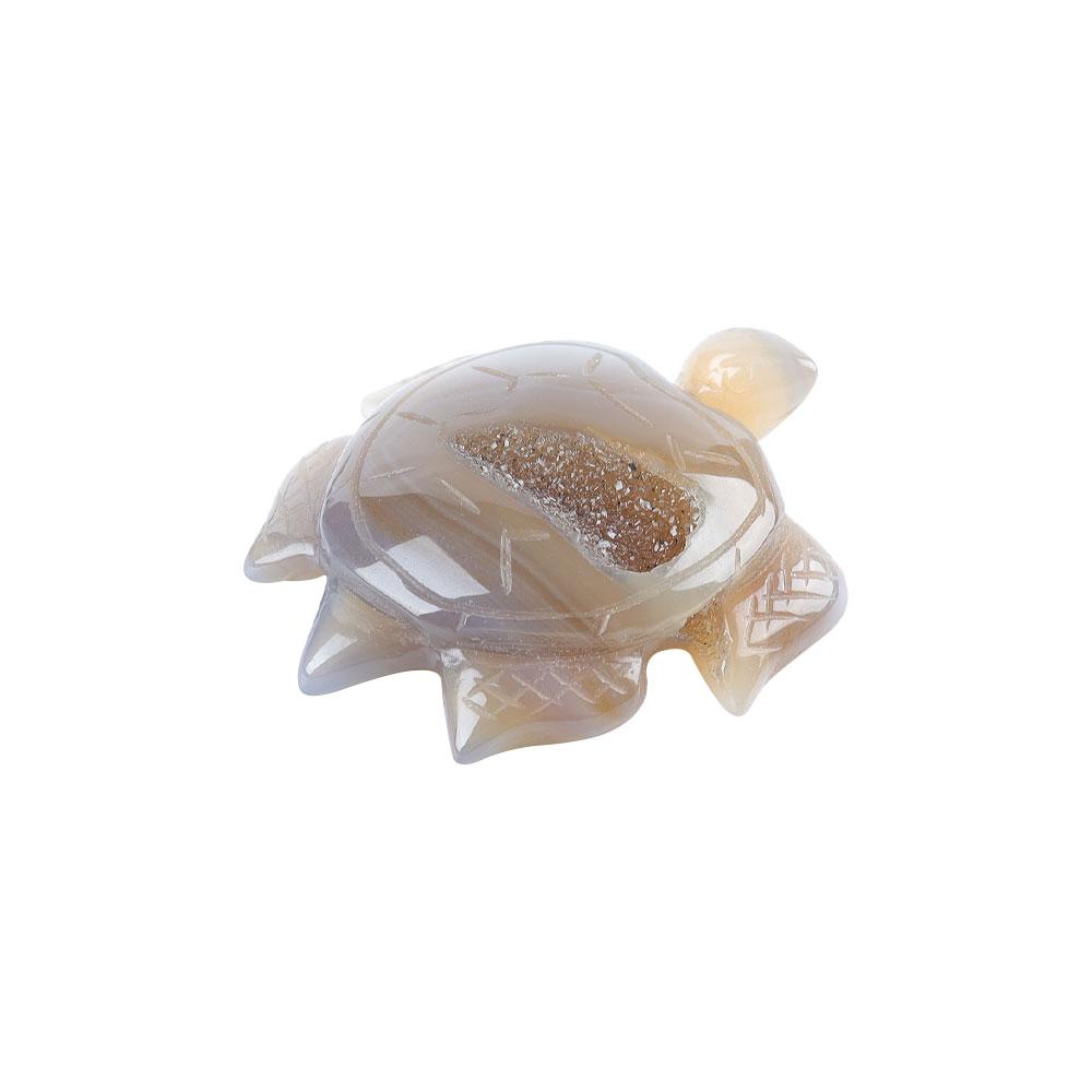 Druzy Agate Turtle Carvings Wholesale Crystals