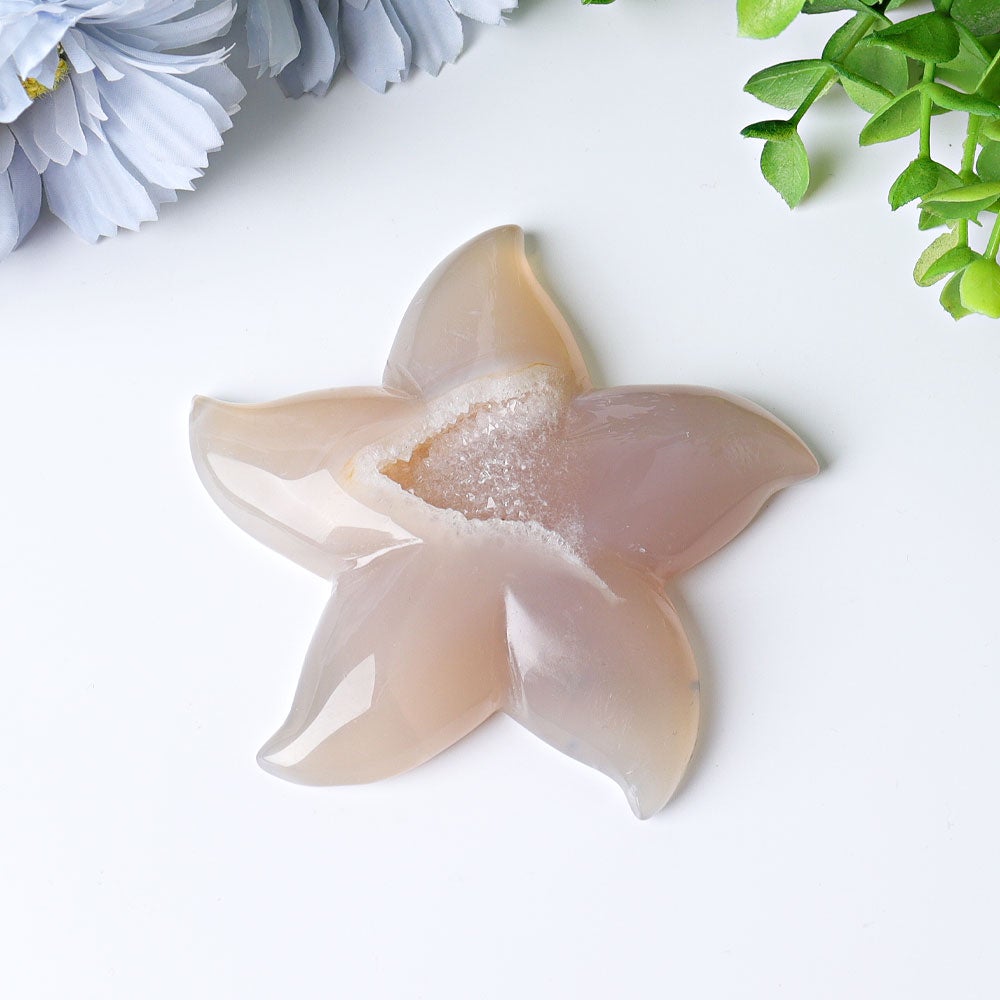 3.0"-3.5" Druzy Agate Starfish Crystal Carvings Wholesale Crystals