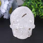 Clear Quartz Crystal Skull Carvings Wholesale Crystals