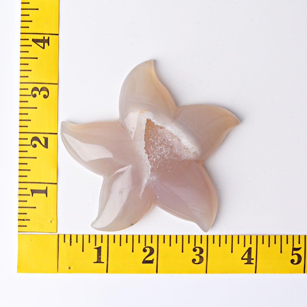 3.0"-3.5" Druzy Agate Starfish Crystal Carvings Wholesale Crystals