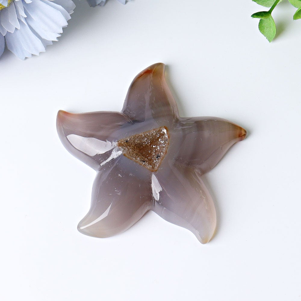 3.0"-3.5" Druzy Agate Starfish Crystal Carvings Wholesale Crystals