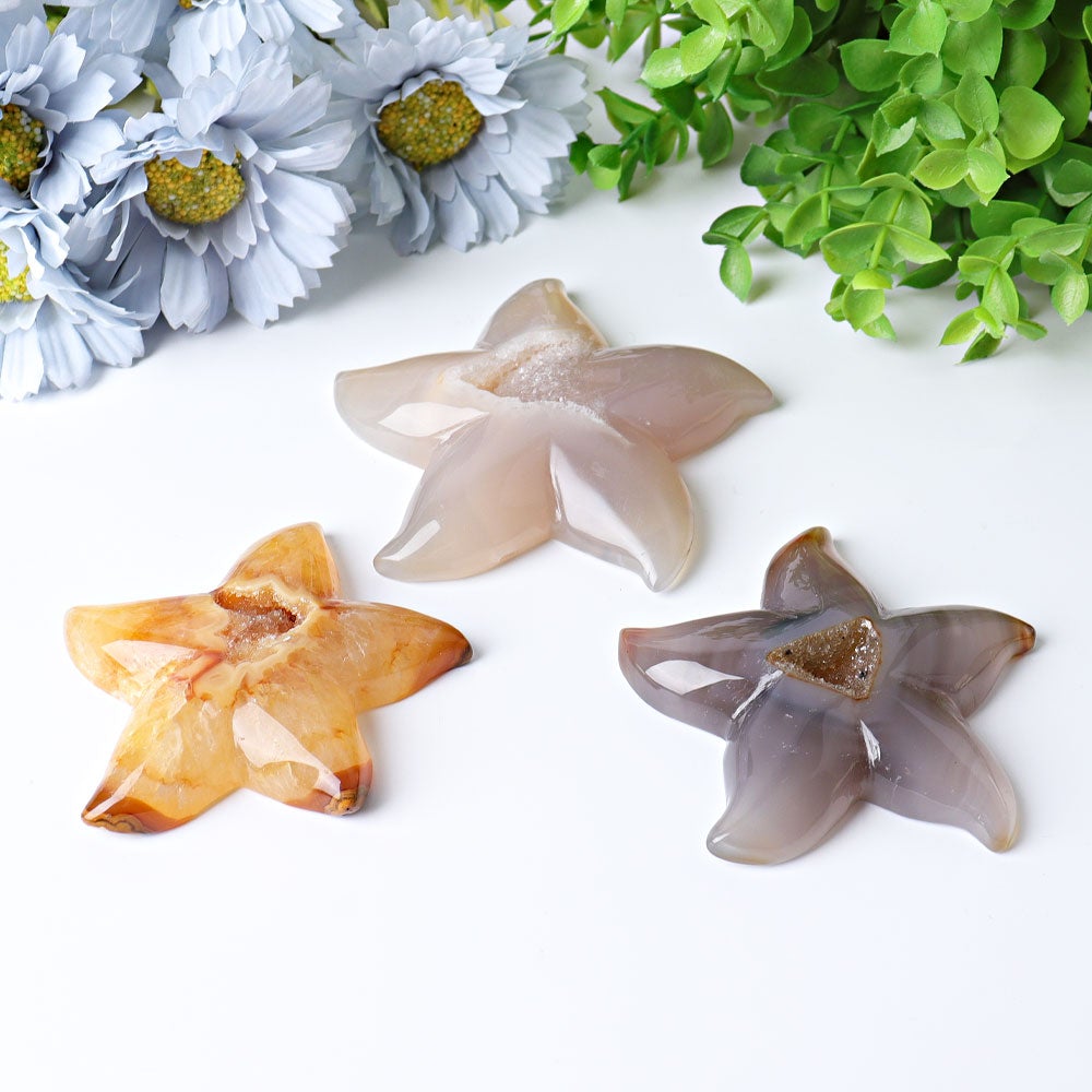 3.0"-3.5" Druzy Agate Starfish Crystal Carvings Wholesale Crystals