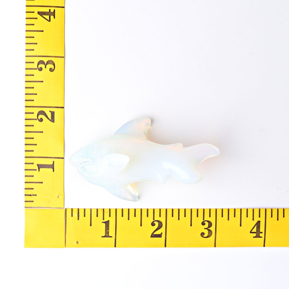 2.9" Opalite Shark Crystal Carvings Wholesale Crystals