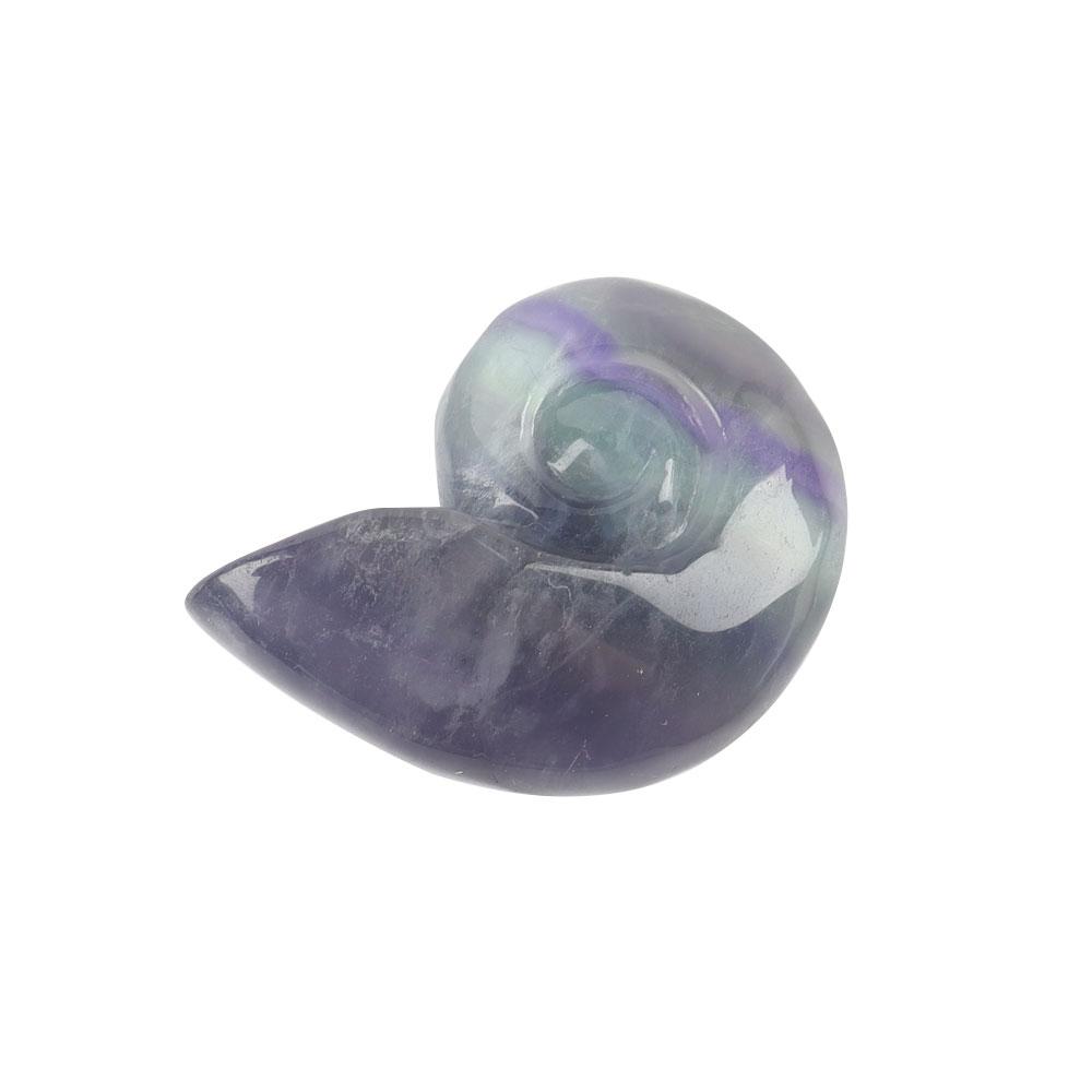 Fluorite Snail Shell Carving Wholesale Crystals