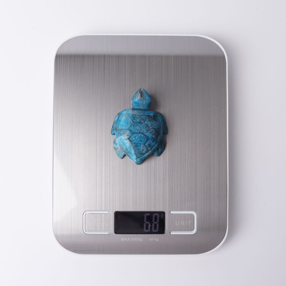 2.3" Blue Apatite Sea Turtle Crystal Carvings Wholesale Crystals