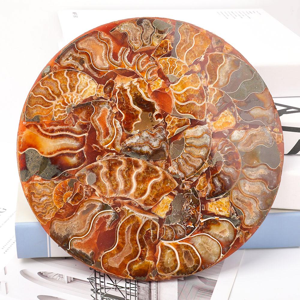 Ammonite Round Plate Free Form Full Set Wholesale Crystals