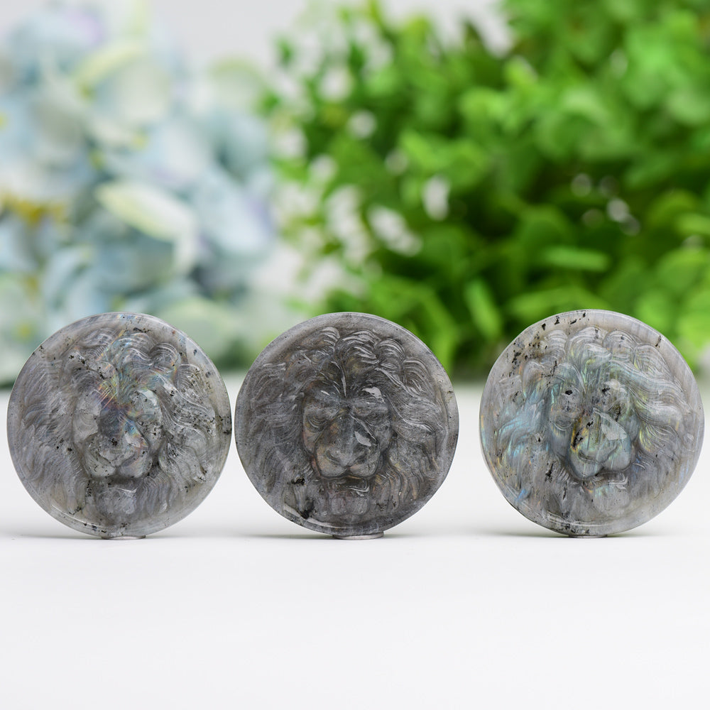 1.9" Labradorite Slab with Lion Crystal Carving  Wholesale Crystals