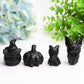 Black Obsidian Carving for Halloween Bulk Wholesale  Wholesale Crystals