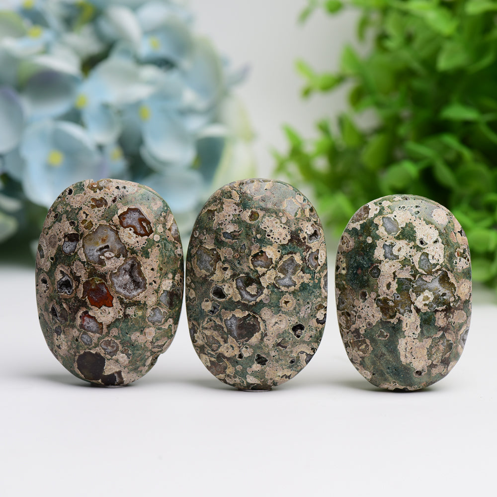 2.4" Rainforest Jasper Palm Stone  Wholesale Crystals