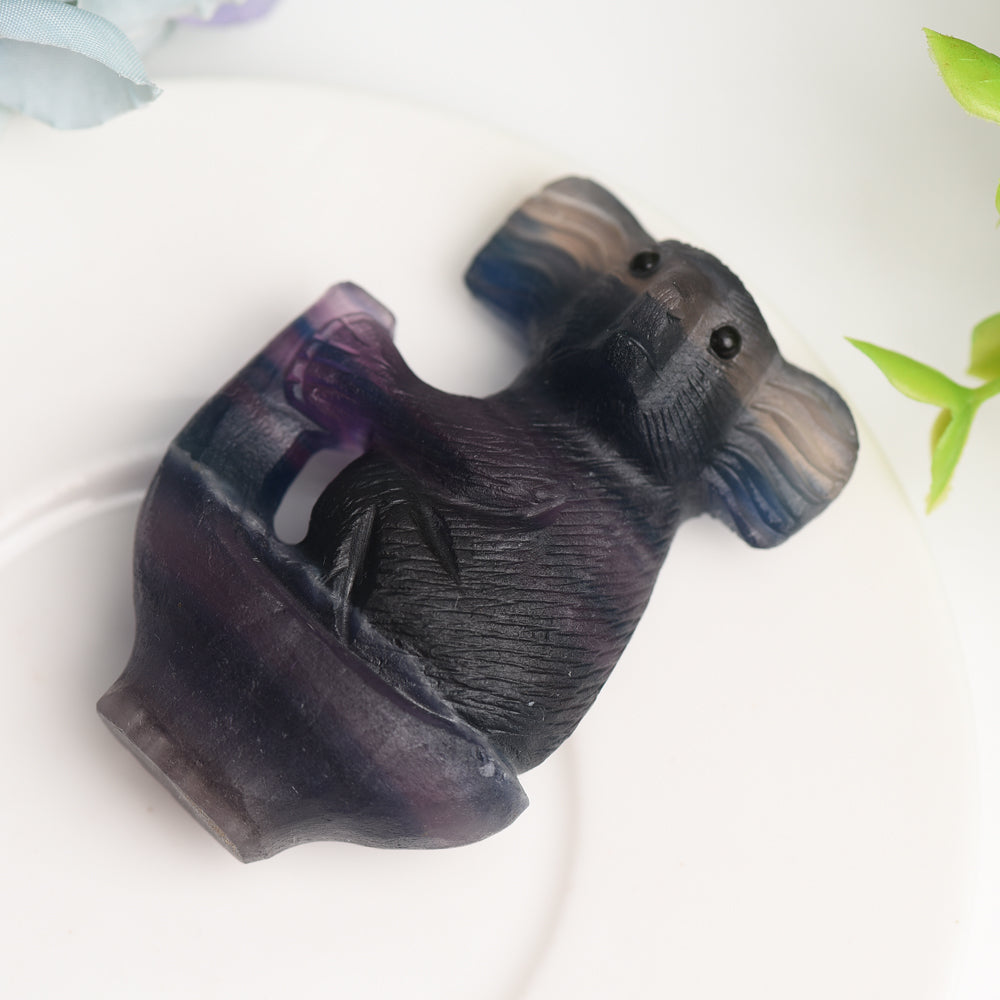 2.4" Rainbow Fluorite Koala Crystal Carving Bulk Wholesale  Wholesale Crystals