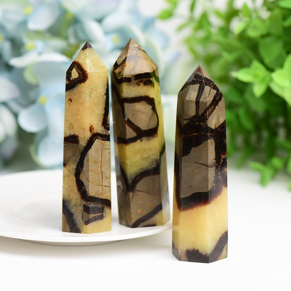 2.5"-4.5" Septarium Crystal Point  Wholesale Crystals