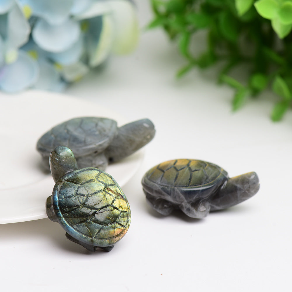 1.6" Labradorite Turtle Animal Crystal Carving  Wholesale Crystals