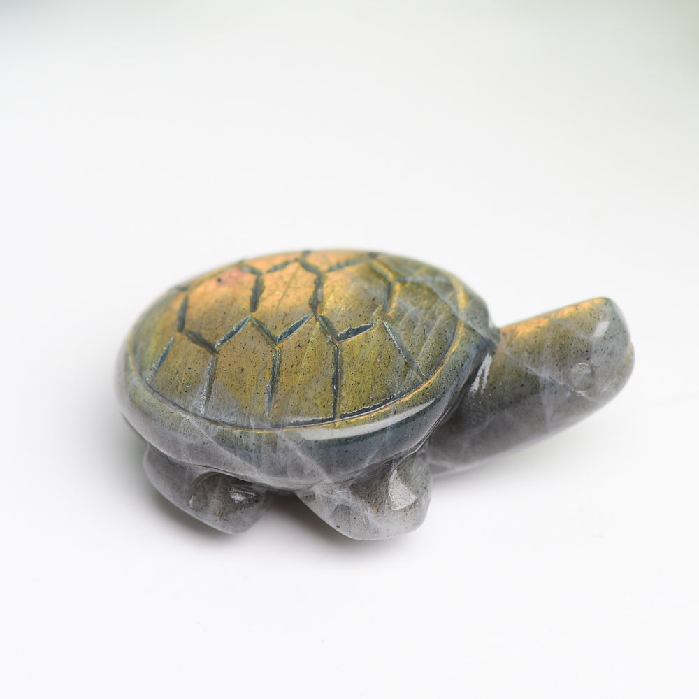 1.6" Labradorite Turtle Animal Crystal Carving  Wholesale Crystals