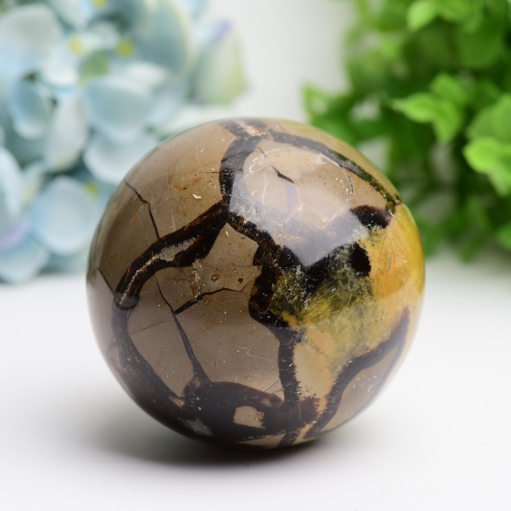 2.0"-3.2" Septarium Crystal Sphere  Wholesale Crystals