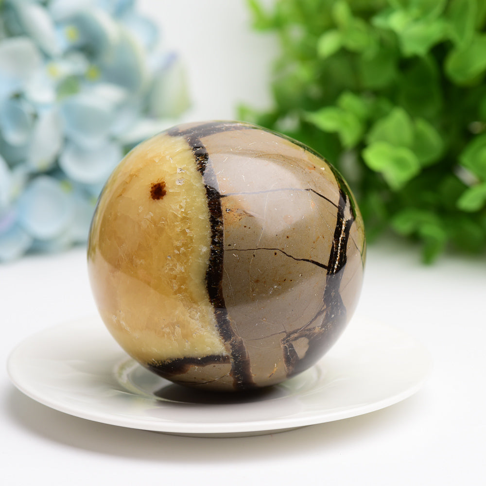 2.0"-3.2" Septarium Crystal Sphere  Wholesale Crystals