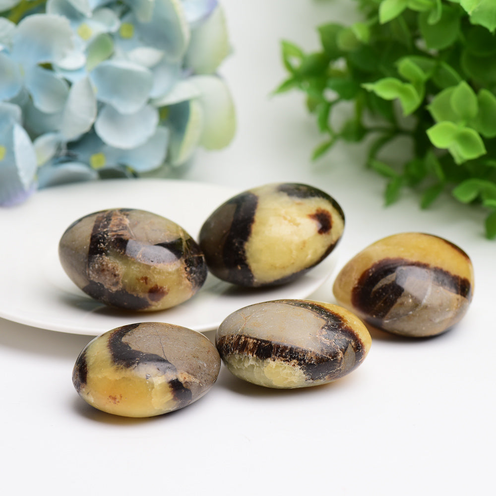 1.5"-2.0" Septarium Palm Stone  Wholesale Crystals