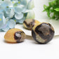 1.5"-2.0" Septarium Palm Stone  Wholesale Crystals