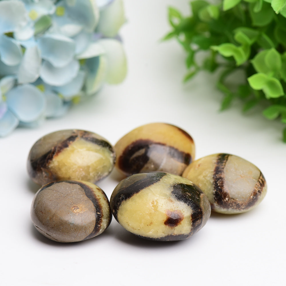 1.5"-2.0" Septarium Palm Stone  Wholesale Crystals