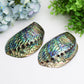 5.0" Aura Shell Free Form  Wholesale Crystals