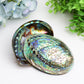 5.0" Aura Shell Free Form  Wholesale Crystals