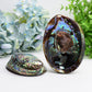 5.0" Aura Shell Free Form  Wholesale Crystals