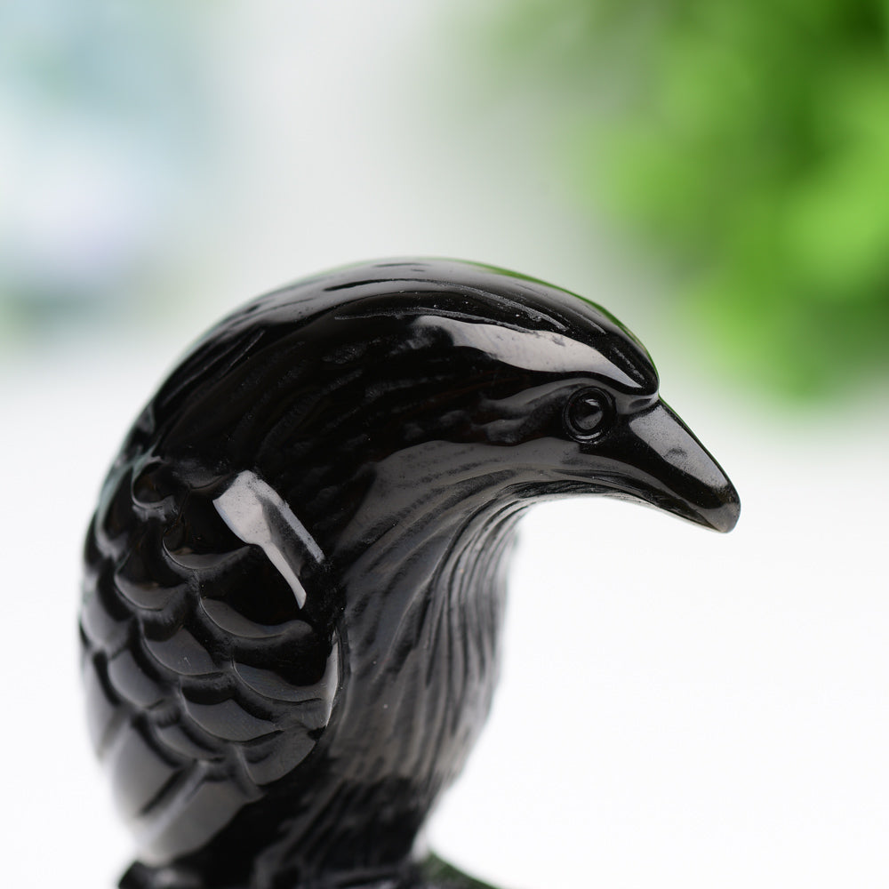 3.3" Black Obsidian Raven Bird Crystal Carving Free Form Bulk Wholesale  Wholesale Crystals