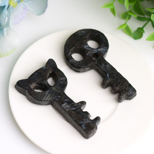 2.9" Astrophylite Life Key Crystal Carving Bulk Wholesale  Wholesale Crystals