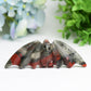 4.1" Mixed Crystal Bat Crystal Carving Bulk Wholesale  Wholesale Crystals