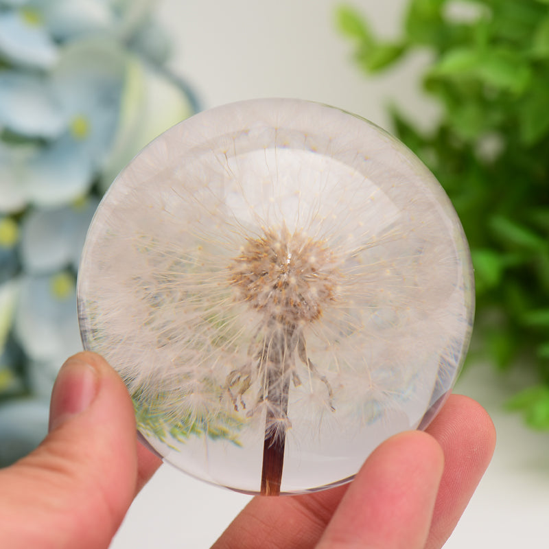 2.6" Resin Sphere with Dandelion Inside Bulk Wholesale  Wholesale Crystals