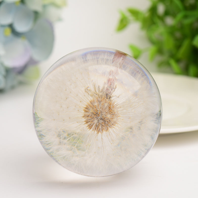 2.6" Resin Sphere with Dandelion Inside Bulk Wholesale  Wholesale Crystals