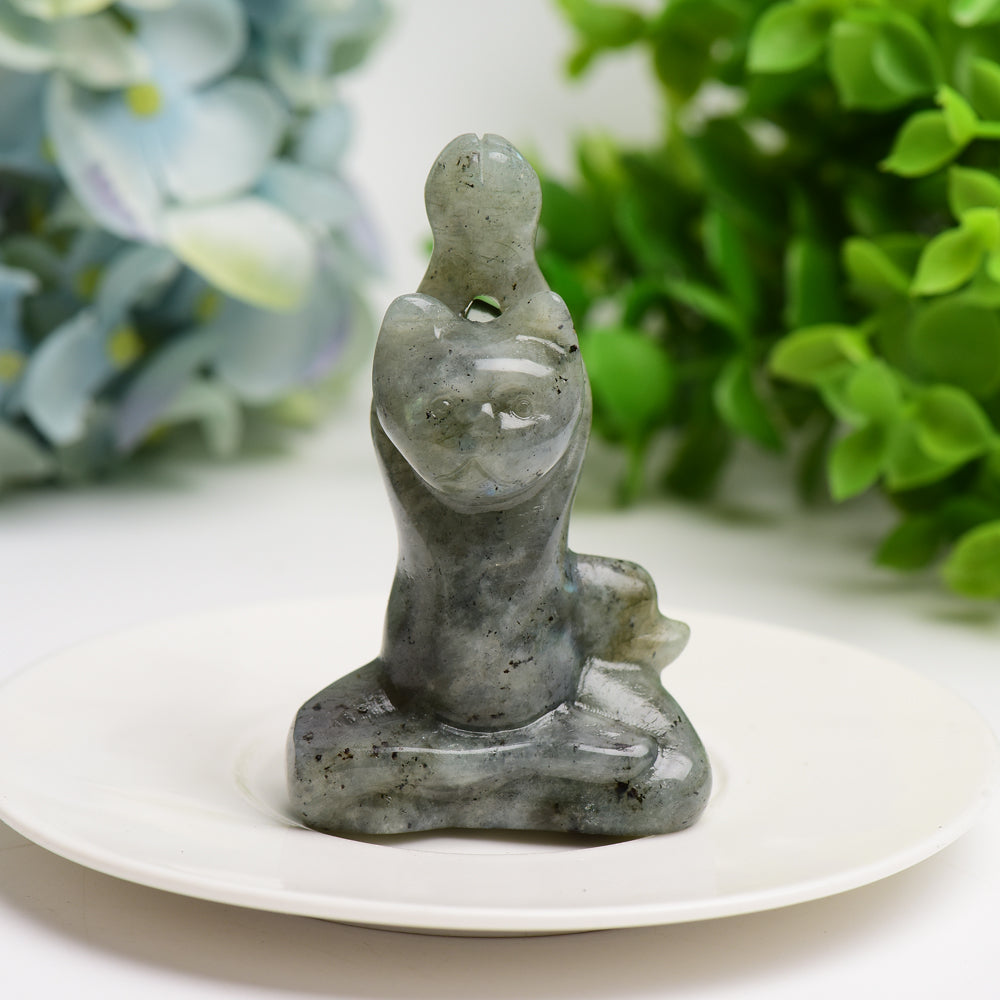 3.0" Mixed Crystal Yoga Cat Crystal Carving Bulk Wholesale  Wholesale Crystals