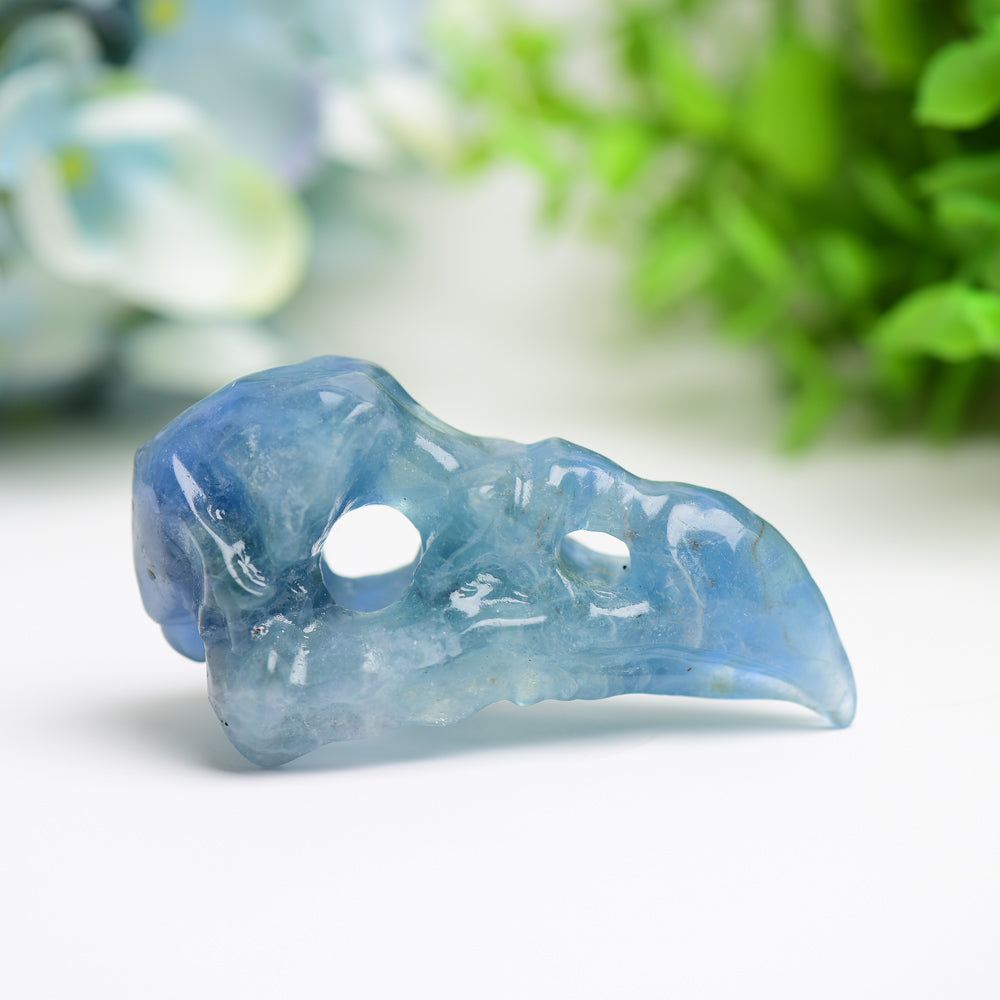 3.0" Fluorite Raven Skull Crystal Carving Bulk Wholesale  Wholesale Crystals