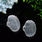 2.7" Selenite Shell Shape Carving Bulk Wholesale  Wholesale Crystals