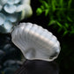 2.7" Selenite Shell Shape Carving Bulk Wholesale  Wholesale Crystals