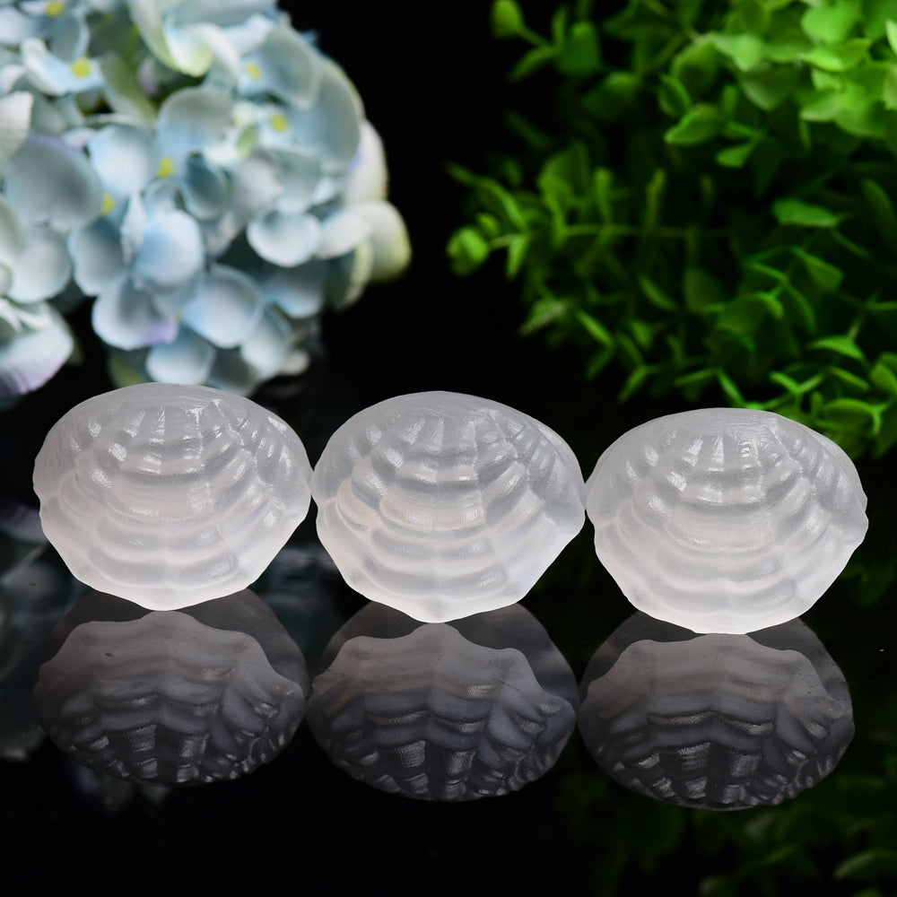 2.4" Selenite Shell Shape Carving Bulk Wholesale  Wholesale Crystals