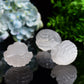 2.4" Selenite Shell Shape Carving Bulk Wholesale  Wholesale Crystals