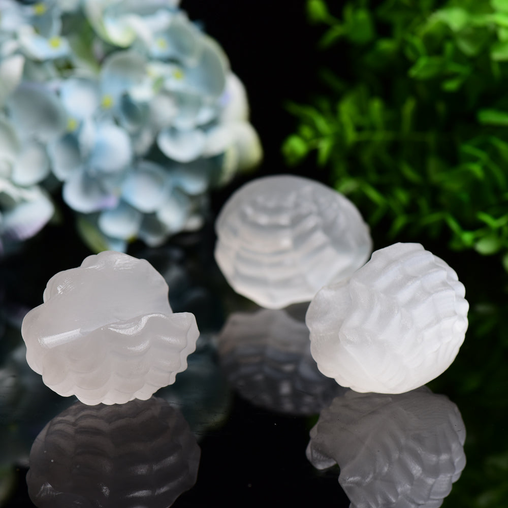 2.4" Selenite Shell Shape Carving Bulk Wholesale  Wholesale Crystals