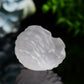 2.4" Selenite Shell Shape Carving Bulk Wholesale  Wholesale Crystals