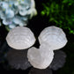 2.4" Selenite Shell Shape Carving Bulk Wholesale  Wholesale Crystals