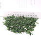 0.1kg Natural Green Jade Crystal Chips Wholesale Crystals