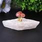 4" Selenite Base with Carnelian Decoration Free Form Wholesale Crystals