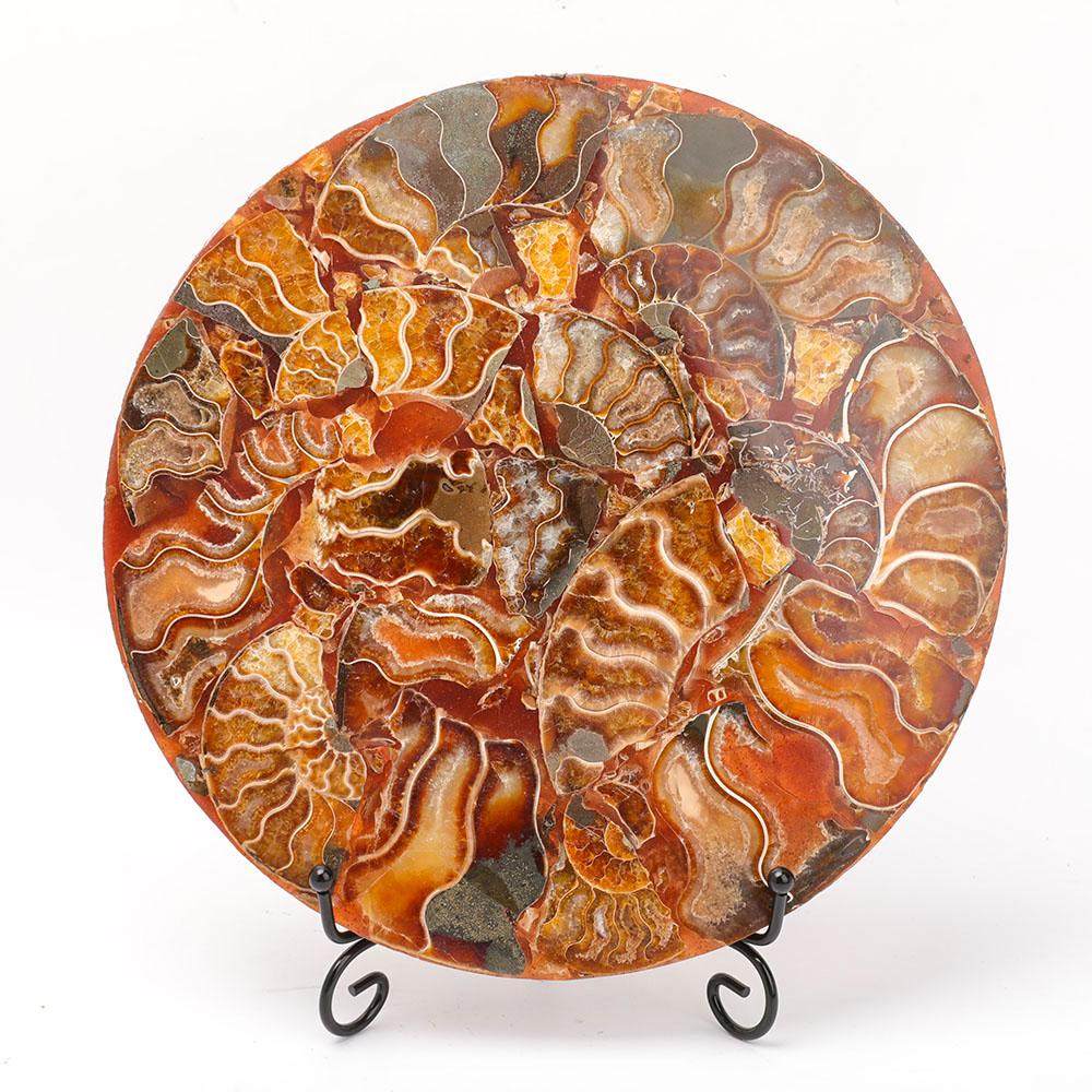 Ammonite Round Plate Free Form Full Set Wholesale Crystals