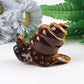 2.5" Tiger's Eye Snail Crystal Carvings Wholesale Crystals