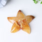 3.0"-3.5" Druzy Agate Starfish Crystal Carvings Wholesale Crystals