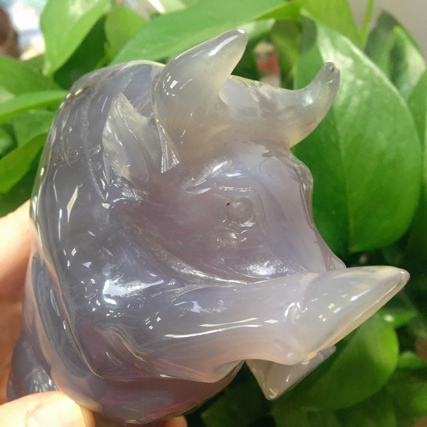 6" Druzy Agate Bull for Collection Wholesale Crystals