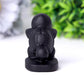 Black Obsidian Squirtle Crystal Carvings Wholesale Crystals