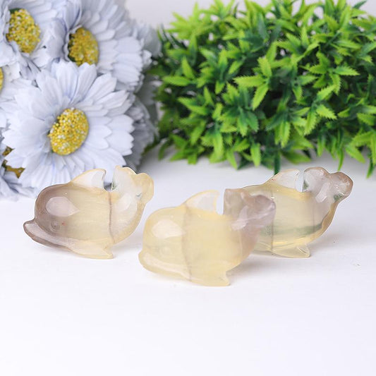 2.5" Fluorite Dolphin Crystal Carvings Wholesale Crystals
