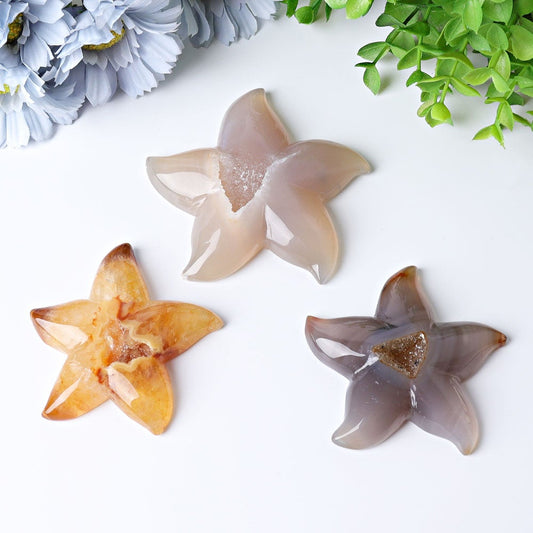 3.0"-3.5" Druzy Agate Starfish Crystal Carvings Wholesale Crystals