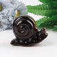 2.5" Tiger's Eye Snail Crystal Carvings Wholesale Crystals