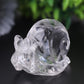 1.2-1.5" Clear Quartz Snail Crystal Carvings Wholesale Crystals